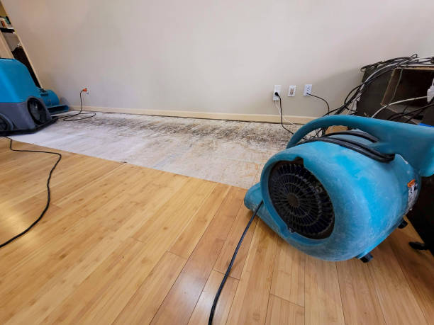 Reliable Basement Flood Cleanup contractor in Myrtle, MS by Hirex Water Damage