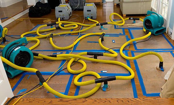 Professional Basement Flood Cleanup technician working in Myrtle, MS